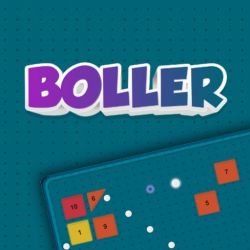 Boller Image