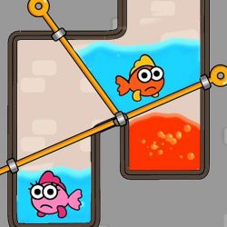 Fish Love Game Image