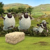 Shaun The Sheep Alien Athletics Image