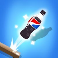 The Bottle Flip Image